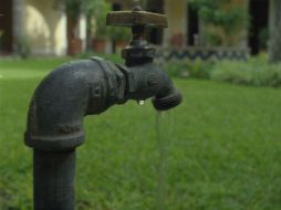 En su intervención, Vega de Lamadrid nunca admitió que dicha ley buscara la privatización del servicio. EL INFORMADOR / ARCHIVO