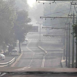 Contaminación aumenta riesgo de padecer Alzheimer