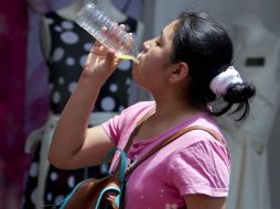 El hidratarse correctamente ayuda a que el cuerpo realice sus funciones de manera óptima. EL INFORMADOR / ARCHIVO