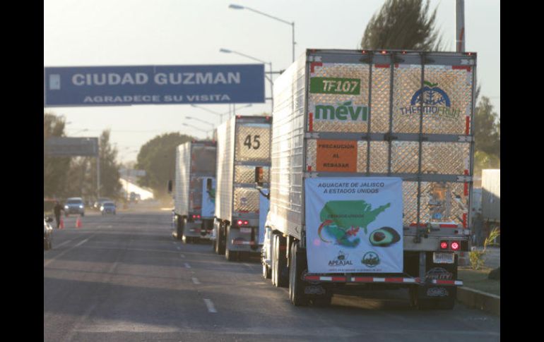 La falta de una firma impide a los camiones transportadores cruzar la frontera. EL INFORMADOR / P. Franco