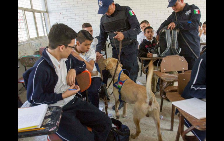 Policías revisan con perros en Monterrey las pertenencias de los alumnos. AFP / J. Aguilar
