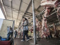 En el Rastro Municipal, la nómina asciende a 80 millones de pesos a sus 359 trabajadores. EL INFORMADOR / ARCHIVO