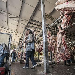 En 90 días, diagnóstico para rastro metropolitano