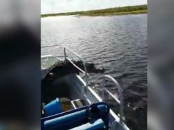 Tylor Hindery cuenta que él estaba transmitiendo en vivo en Facebook durante el ataque. ESPECIAL / T. Hindery