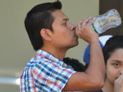 El cuerpo humano necesita agua, ya que cada tejido, órgano y sistema funciona a base de líquidos. EL INFORMADOR / ARCHIVO