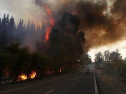 El incendio que afecta a la zona de Pumanque, distante 227 kilómetros al sur de Santiago, se ha convertido en el más destructor . EFE / D.Yancovic
