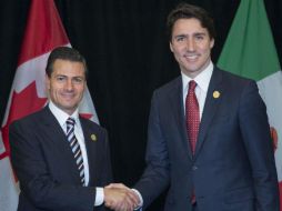 Peña Nieto resaltó la importancia que tiene para México la relación con Canadá. NTX / ARCHIVO