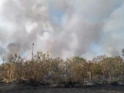 Los Bomberos aseveran que el incendio se encuentra controlado en la mayor parte. TWITTER / @UMPCyBZ