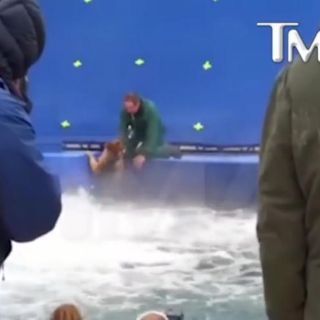 PETA lanza boicot contra la película ‘A dog's purpose’