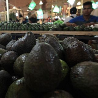 Aumenta exportación de aguacate michoacano a EU por Super Bowl