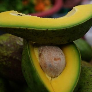 Negociarán regreso de aguacate jalisciense a Estados Unidos
