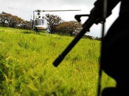 En total destruyeron 86 toneladas 300 kilogramos de plantas de mariguana. EL INFORMADOR / ARCHIVO