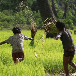 Hallan dos bombas de la guerra de Vietnam en Camboya