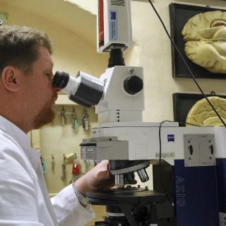 La simpatía estaría relacionada con la forma del cerebro