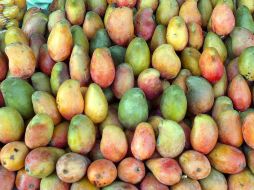 Afinan una negociación con otros países, apoyando a los empresarios con el programa Pro México. EL INFORMADOR / A. Cupul