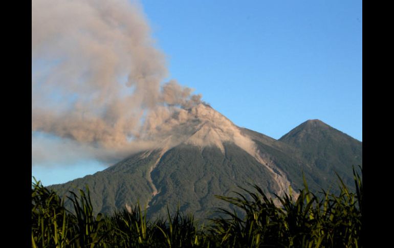 El volcán de Fuego es  de los más activos de los 32 que tiene Guatemala. EFE / ARCHIVO