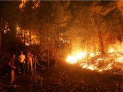 La región de Maule es una de las más afectadas; tan sólo ayer se detectaron 189 mil hectáreas quemadas. EFE / E. González