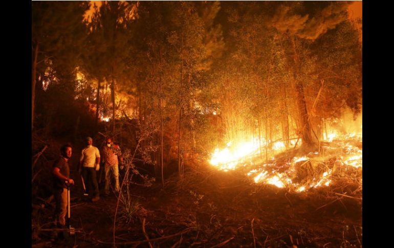 La región de Maule es una de las más afectadas; tan sólo ayer se detectaron 189 mil hectáreas quemadas. EFE / E. González