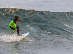 Expertos en escualos han dicho que era un tiburón blanco joven de unos 2.5 metros de largo. AP / C. Hasson