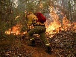 El domingo o lunes podría llegar un avión ofrecido por Rusia con capacidad para lanzar 40 mil litros de agua. AP / E.Félix