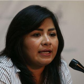 Planes para la Comisión de Cultura en 2017