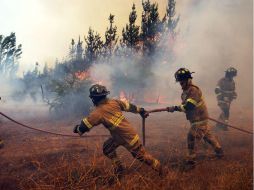 Los incendios forestales han cobrado la vida de 11 personas. EFE / E. Gonzalez