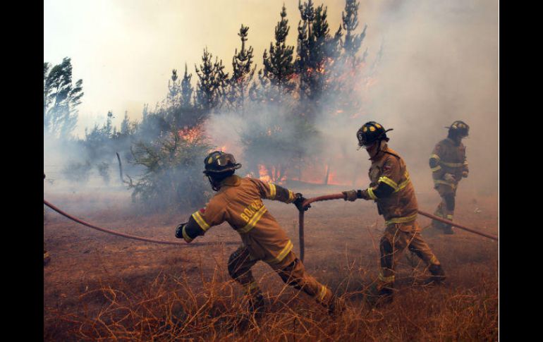 Los incendios forestales han cobrado la vida de 11 personas. EFE / E. Gonzalez