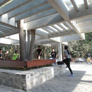 Modernizan la imagen del bosque Los Colomos