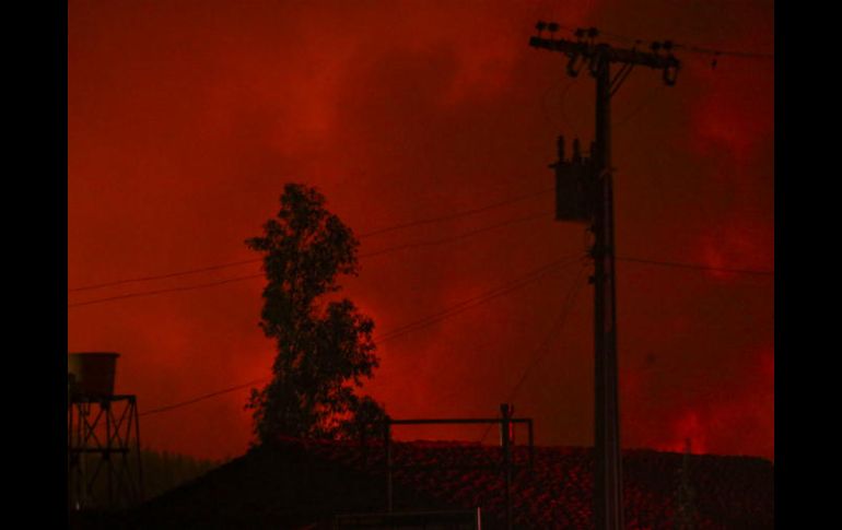 El incendio afectó alrededor de 379 mil hectáreas, informan autoridades. AP / E. Felix