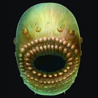 Científicos hallan al ancestro humano más antiguo