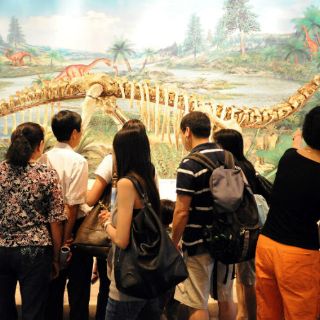 Descubren colágeno conservado en un fósil de dinosaurio del primer Jurásico