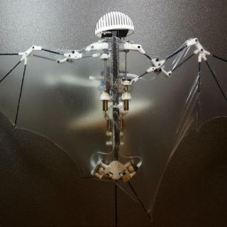 Diseñan robot volador que imita los movimientos de murciélagos