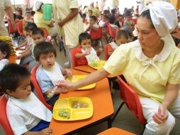 Las alergias se desarrollan cuando el sistema inmunitario reacciona frente a sustancias normalmente inofensivas de nuestro entorno. EL INFORMADOR / ARCHIVO