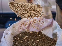 Están trabajando con alimentos de alto consumo en México. EL INFORMADOR / ARCHIVO