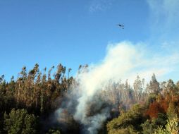 En Chile desde hace dos semanas se han efectuado diversos recursos para extinguir los más de 122 incendios forestales. NTX / A. Sepúlveda
