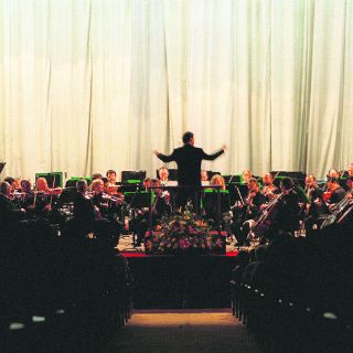 Problemas de audición