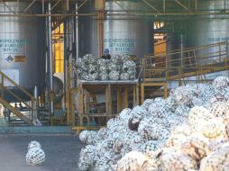 Las técnicas sustentables podrían utilizarse antes de fin de año. EL INFORMADOR / R. Tamayo