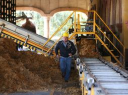 Un trabajador de Tequila Herradura supervisa el proceso para generar composta a partir del gabazo de las pencas de maguey. EL INFORMADOR / R. Tamayo