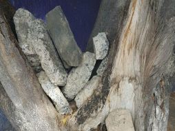 El encargado del operativo de seguridad por el partido dice que continuarán los rondines en inmediaciones del estadio. ESPECIAL / Policía de Guadalajara