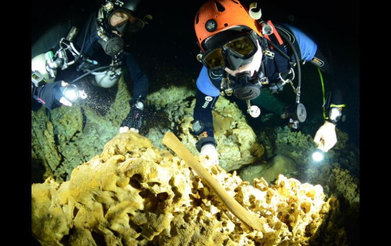 Los ejemplares podrían pertenecer a alguna especie de oso de la era geológica del Pleistoceno, del género Arctotherium. NTX / @INAHmx