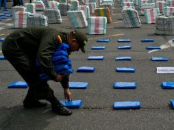 Colombia es el principal cultivador mundial de hoja de coca, materia prima de la cocaína. AFP / ARCHIVO