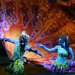 Adrenalina escénica con 'Toruk'