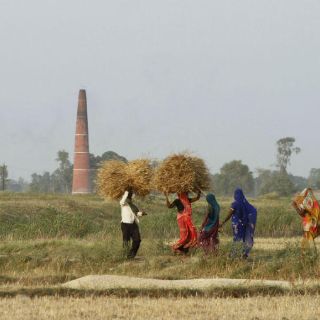 Talibanes secuestran a 52 agricultores en Afganistán