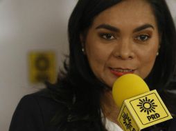 Mojica Morga adelanta que se tomarán medidas con aquellos senadores que siguen en la bancada del PRD, pero ya renunciaron. SUN / ARCHIVO