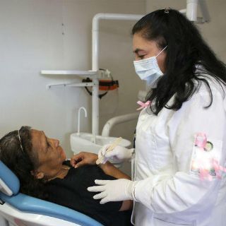 El aceite de aranto ayuda contra el cáncer de mama