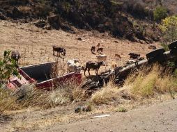Según testimonios, un tráiler que circulaba por la vía se quedó sin frenos, lo que provocó el choque. ESPECIAL /