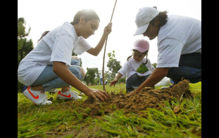 Más de 200 empresas han colaborado con Extra A.C. para reforestar áreas de la ciudad. EL INFORMADOR / A. Camacho