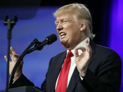 ''Vamos a recuperar el control de la frontera y vamos a construir el gran, gran muro'', destacó. AP / A. Brandon