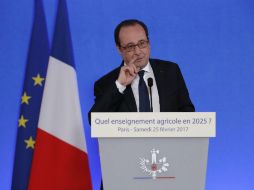 El presidente de Francia indicó que ‘nunca es bueno mostrar el más mínimo desprecio con un país amigo’. EFE / C. Hartmann
