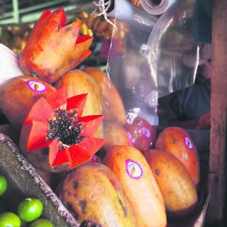 Productos agrícolas brincan fronteras